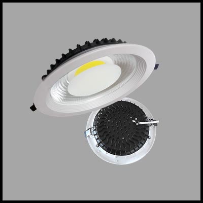 LED down light 12012525