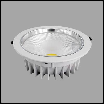 LED down light 12013013